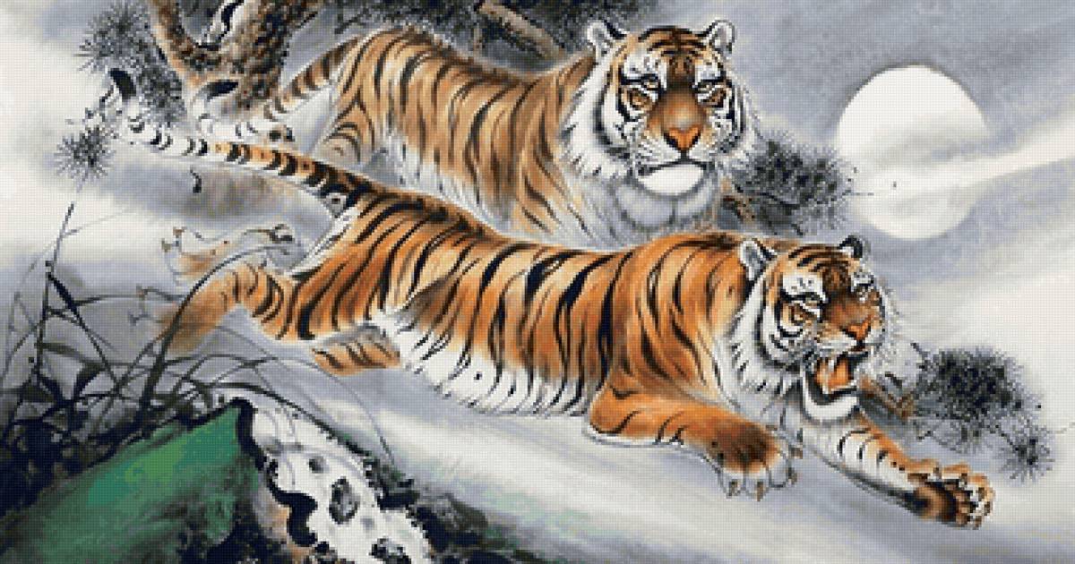 Tigres - animais. - предпросмотр