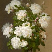 Схема вышивки «White rose»