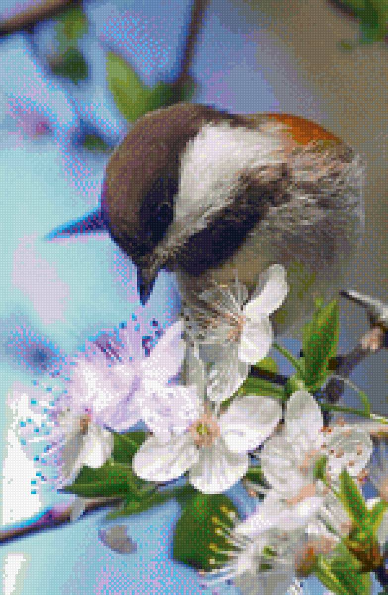 Весна - цветок, птица, дерево, весна - предпросмотр