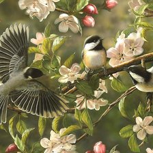 Схема вышивки «№2309526»