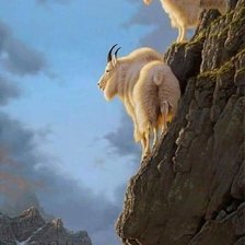 Схема вышивки «Cabras»