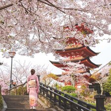 Схема вышивки «Cerezos4»