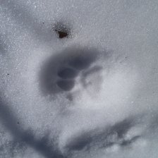 Схема вышивки «след»