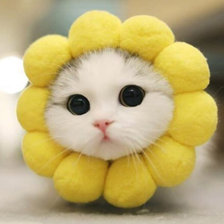 Схема вышивки «солнышко»