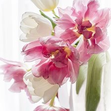 Схема вышивки «№2309901»