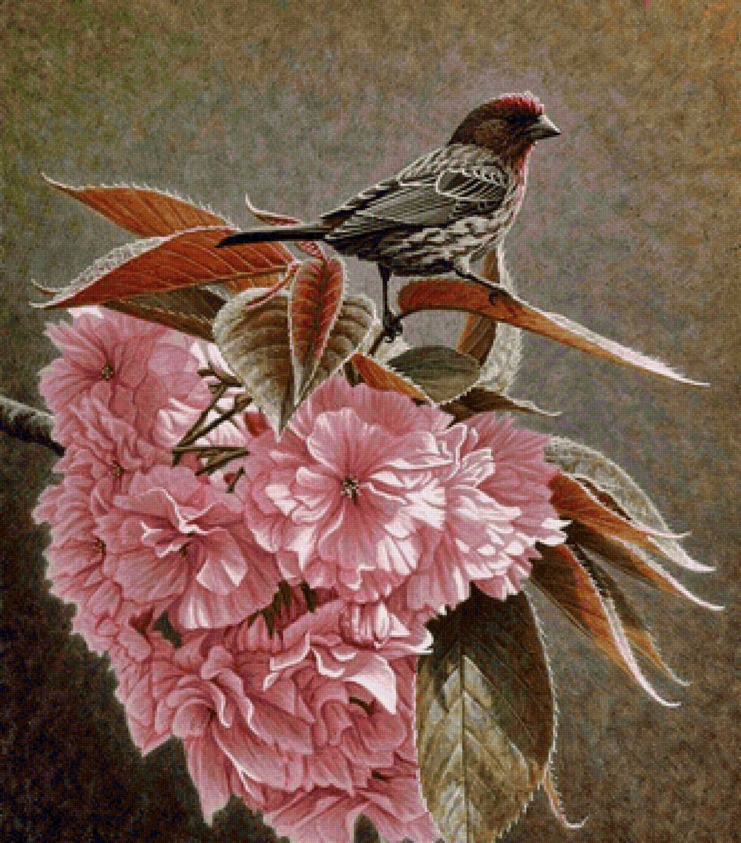 Pássaro. - flores., pássaro - предпросмотр