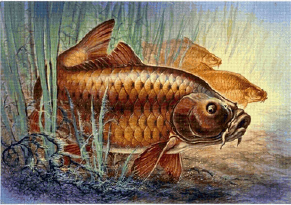 Peixes. - peixes, rio.lago. - предпросмотр