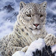 Схема вышивки «Leopardo das neves.»