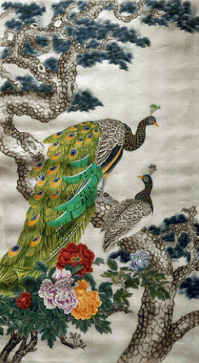 Pavão. - flores., pássaro - предпросмотр