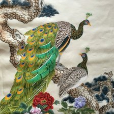 Схема вышивки «Pavão.»