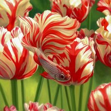 Схема вышивки «Tulipas.»