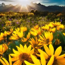 Paisagem. de  primavera,