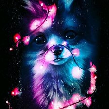 Схема вышивки «Лисичка»