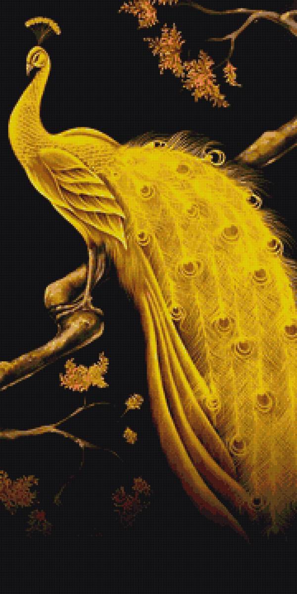 Золотой павлин - предпросмотр