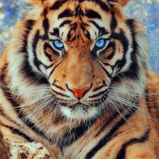 Схема вышивки «Тигр»