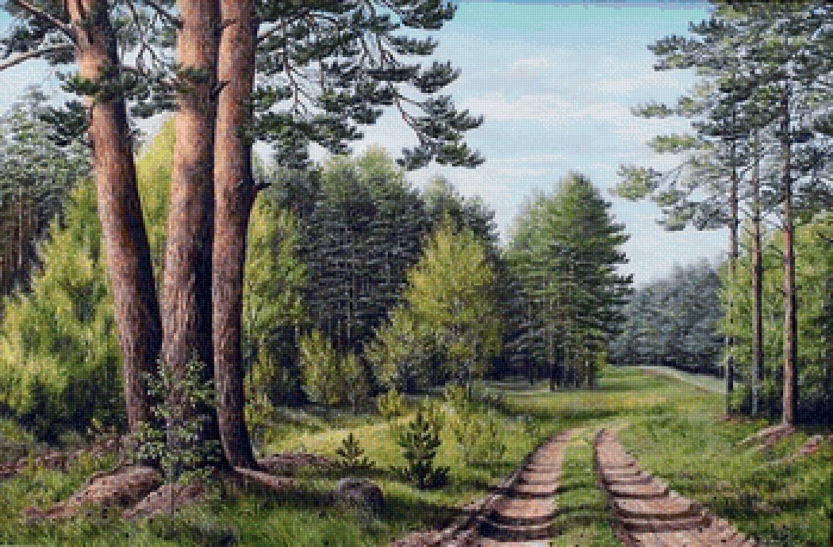 Лесная дорога - природа, лес, сосны, дорога, пейзаж - предпросмотр