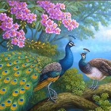 Схема вышивки «Casal de pavão.»