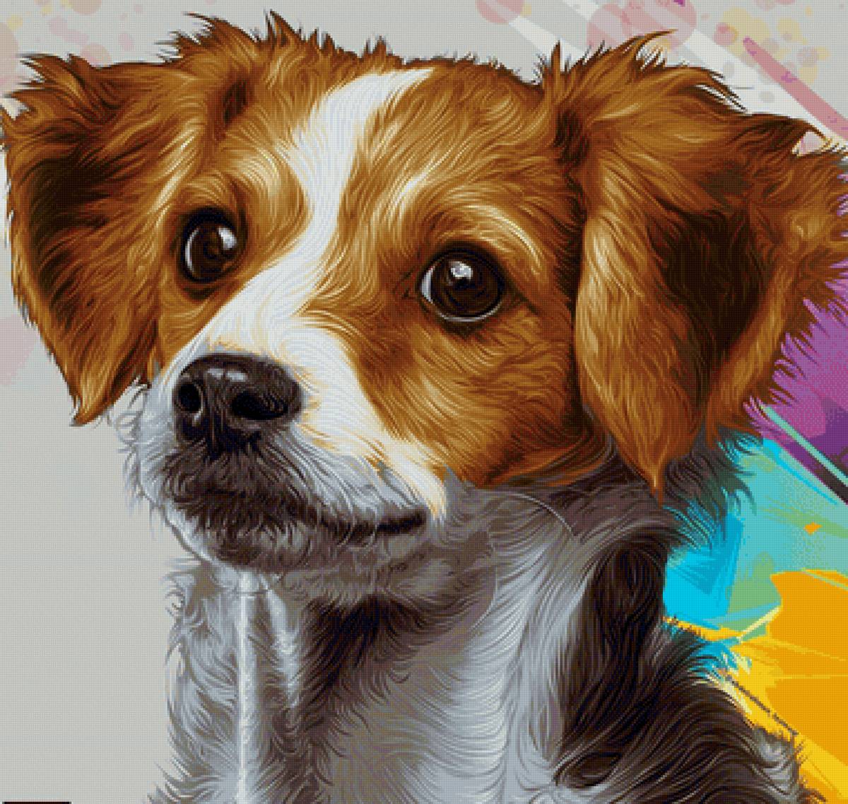 Cão. - animais. - предпросмотр