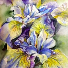 Схема вышивки «Ирис»