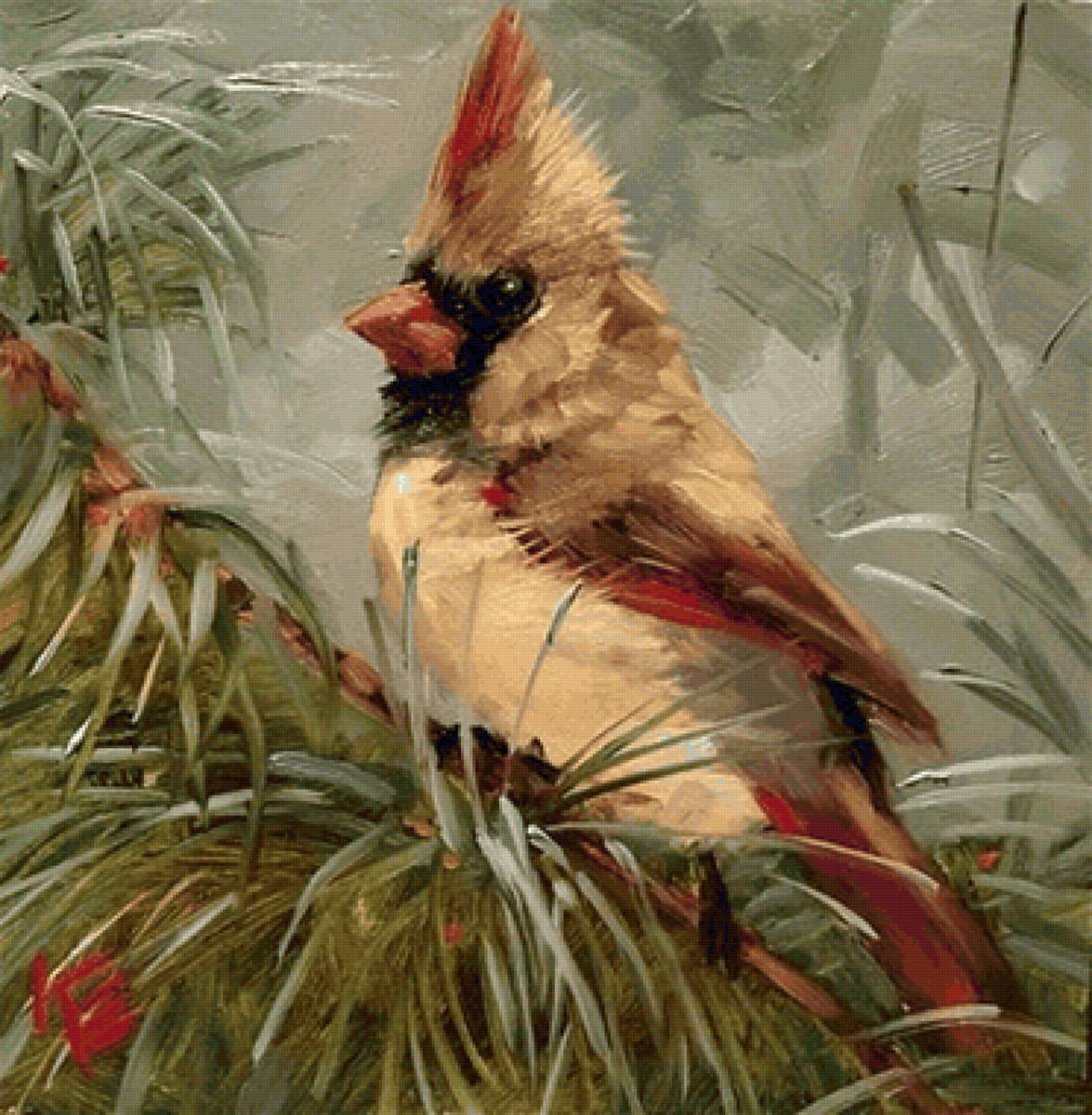 Cardeal. - pássaro. - предпросмотр