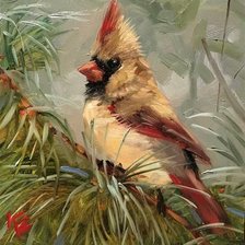 Схема вышивки «Cardeal.»