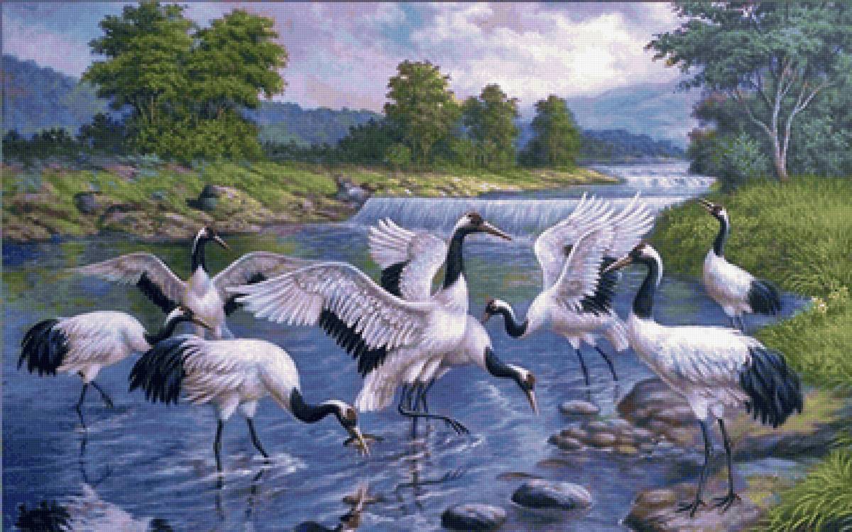 Guindastes. - rio., pássaro - предпросмотр