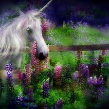 Схема вышивки «Единорог»