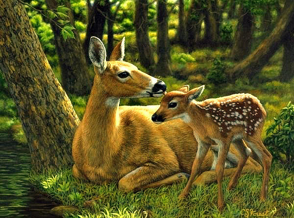 олененок 1 - олени - оригинал