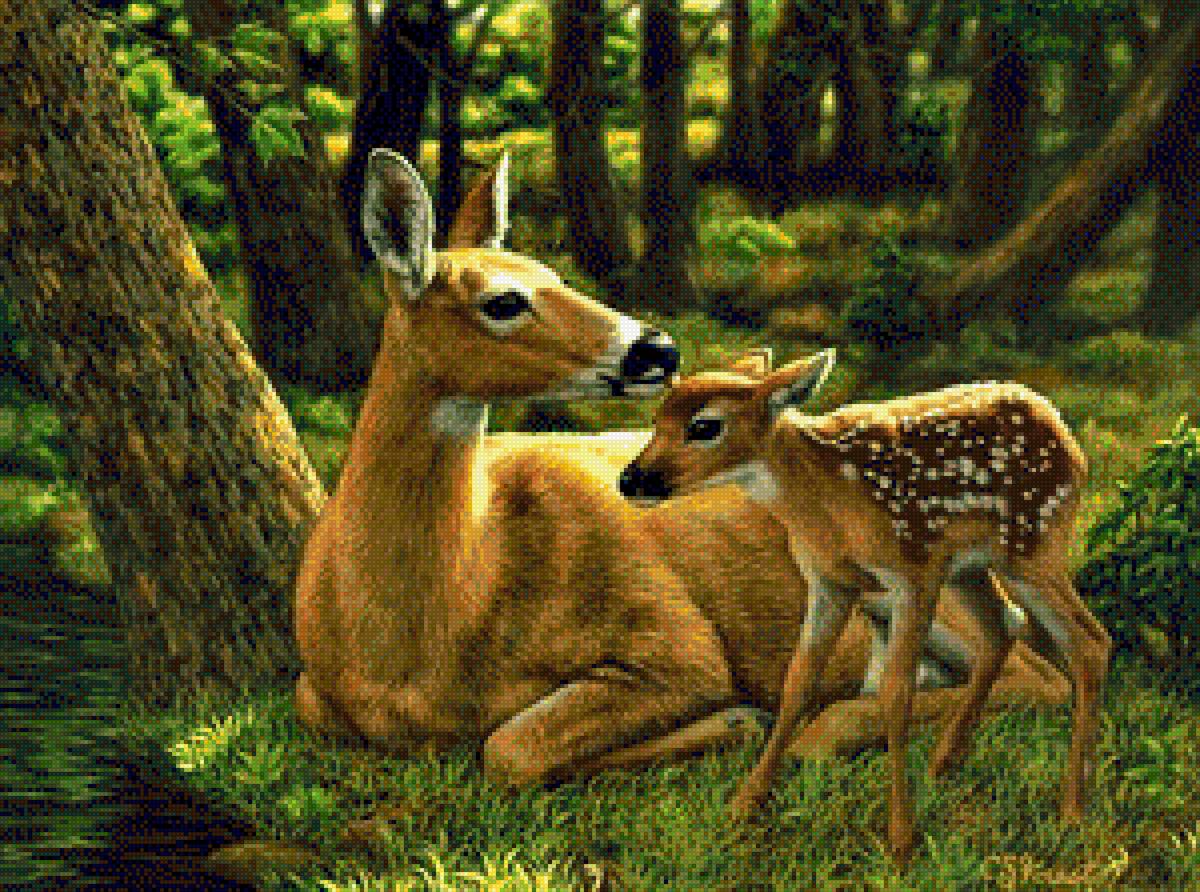 олененок 1 - олени - предпросмотр