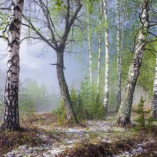 Схема вышивки «Весна пришла»