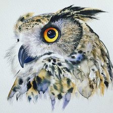 Схема вышивки «Сова»