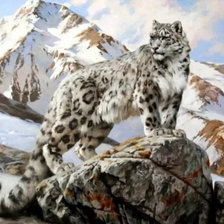 Схема вышивки «Leopardo  das neves.»