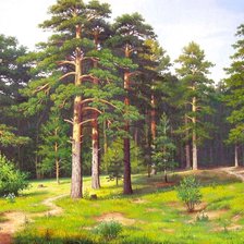 Схема вышивки «Бор»