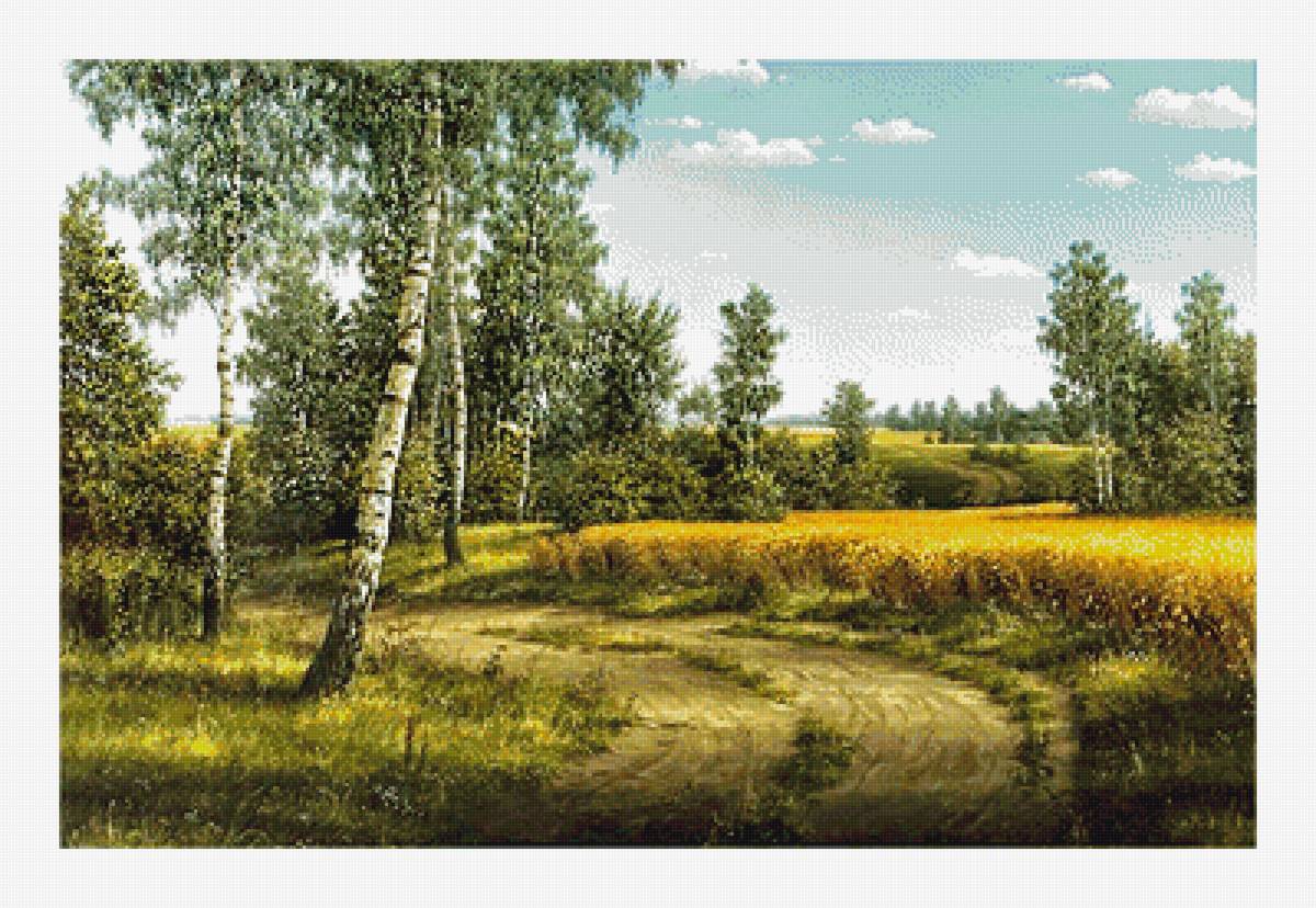 Летний пейзаж - тропка, березы, поле, лето, природа - предпросмотр