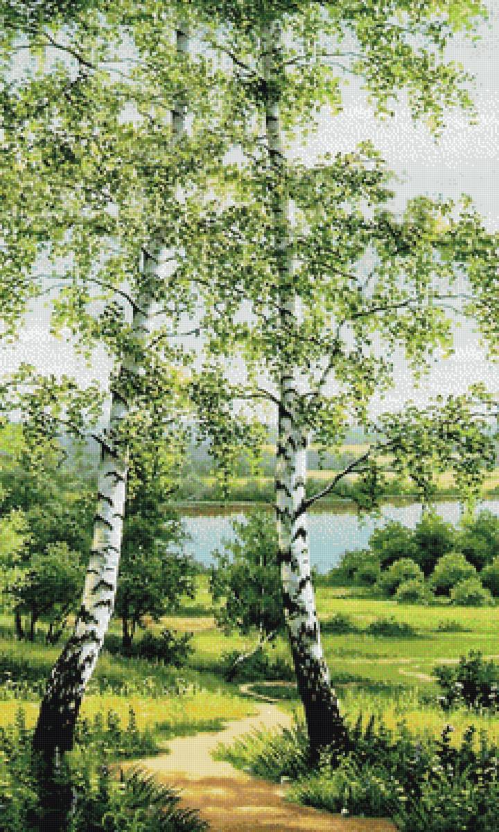 Березки - березы, река, пейзаж, небо - предпросмотр