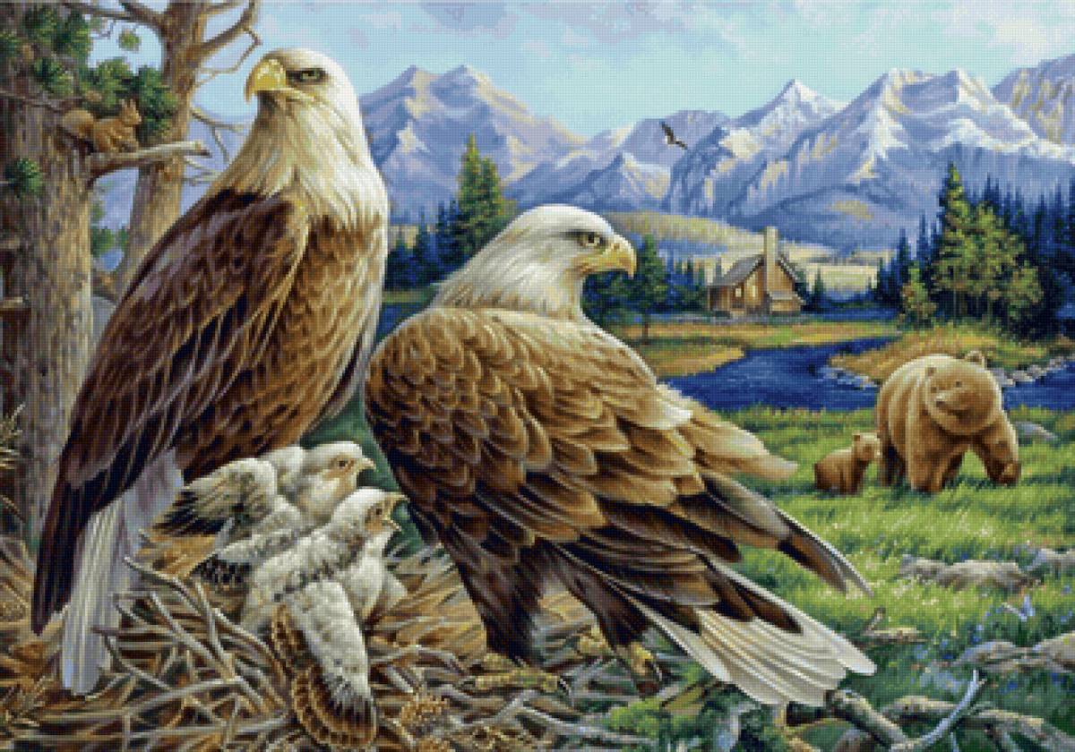 Familhea de  falcão. - paisagens, animais., pássaro - предпросмотр