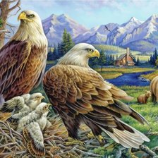 Схема вышивки «Familhea de  falcão.»