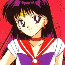 Схема вышивки «рейхино»