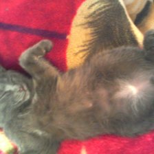 Схема вышивки «сон»