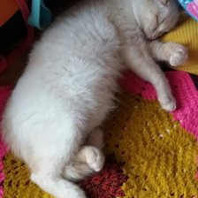 Схема вышивки «сон»