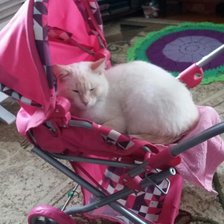 меня заставили