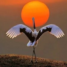 Схема вышивки «Танец уходящему дню»