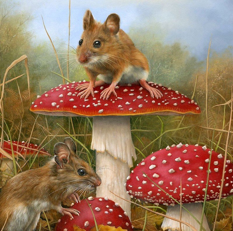 мышей 1 - оригинал