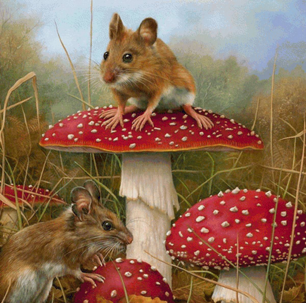 мышей 1 - предпросмотр