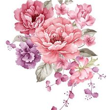 Схема вышивки «пионы»