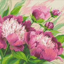 Схема вышивки «ПИОНЫ»