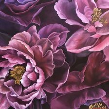 Схема вышивки «Пионы»