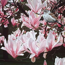 Схема вышивки «Магнолия цветет»