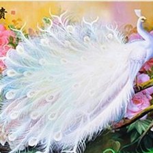 Схема вышивки «PAVONI»