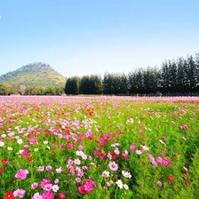 Схема вышивки «ธรรมชาติแสนสวย»